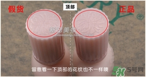 paul joe�´���ټ���_�´���ٶԱ�